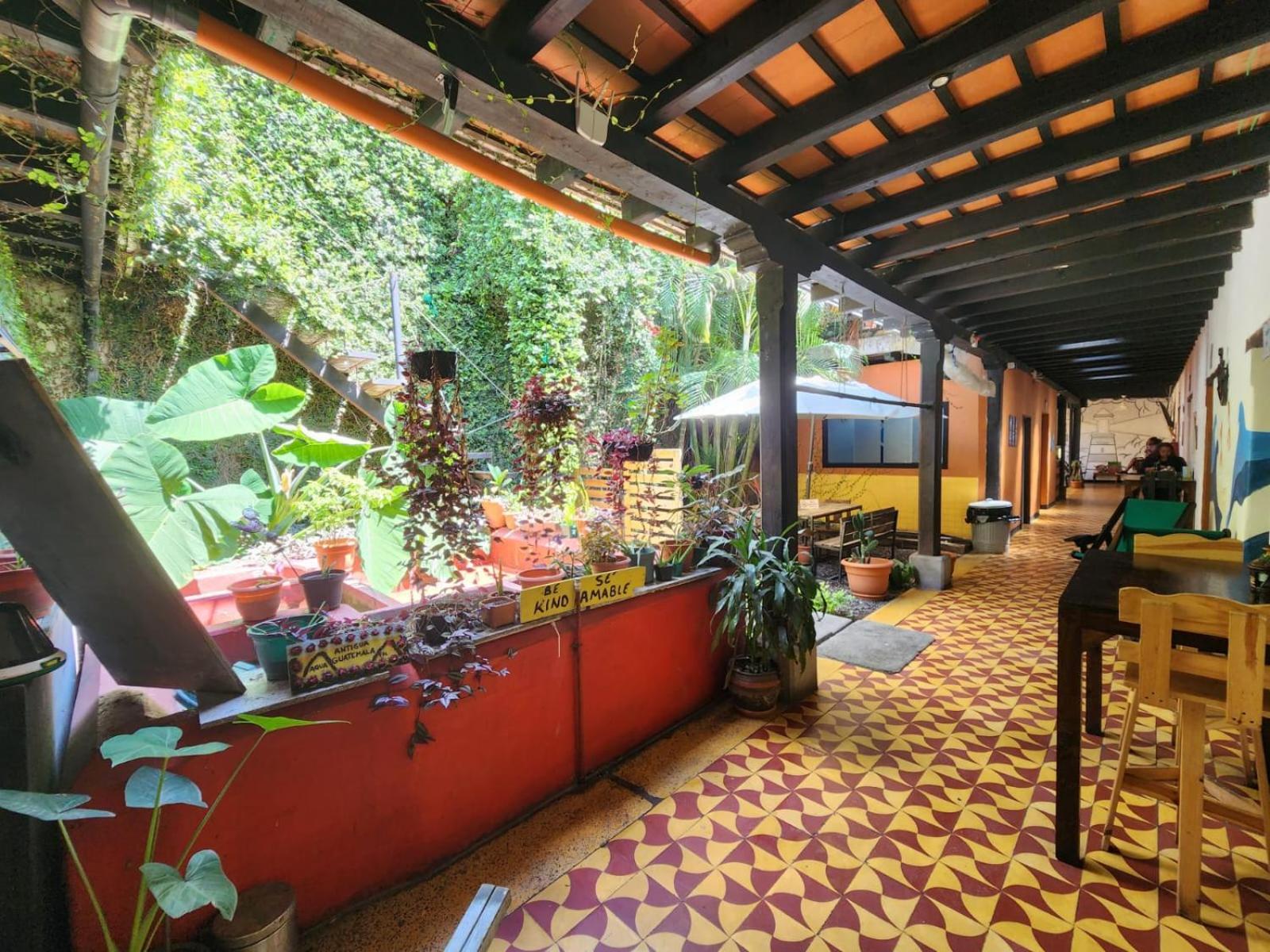 Amura Hostal Antigua Exteriér fotografie